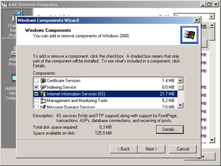 Captura de pantalla de la instalacin de IIS