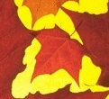 No todos los navegadores soportan PNG