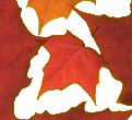 No todos los navegadores soportan PNG